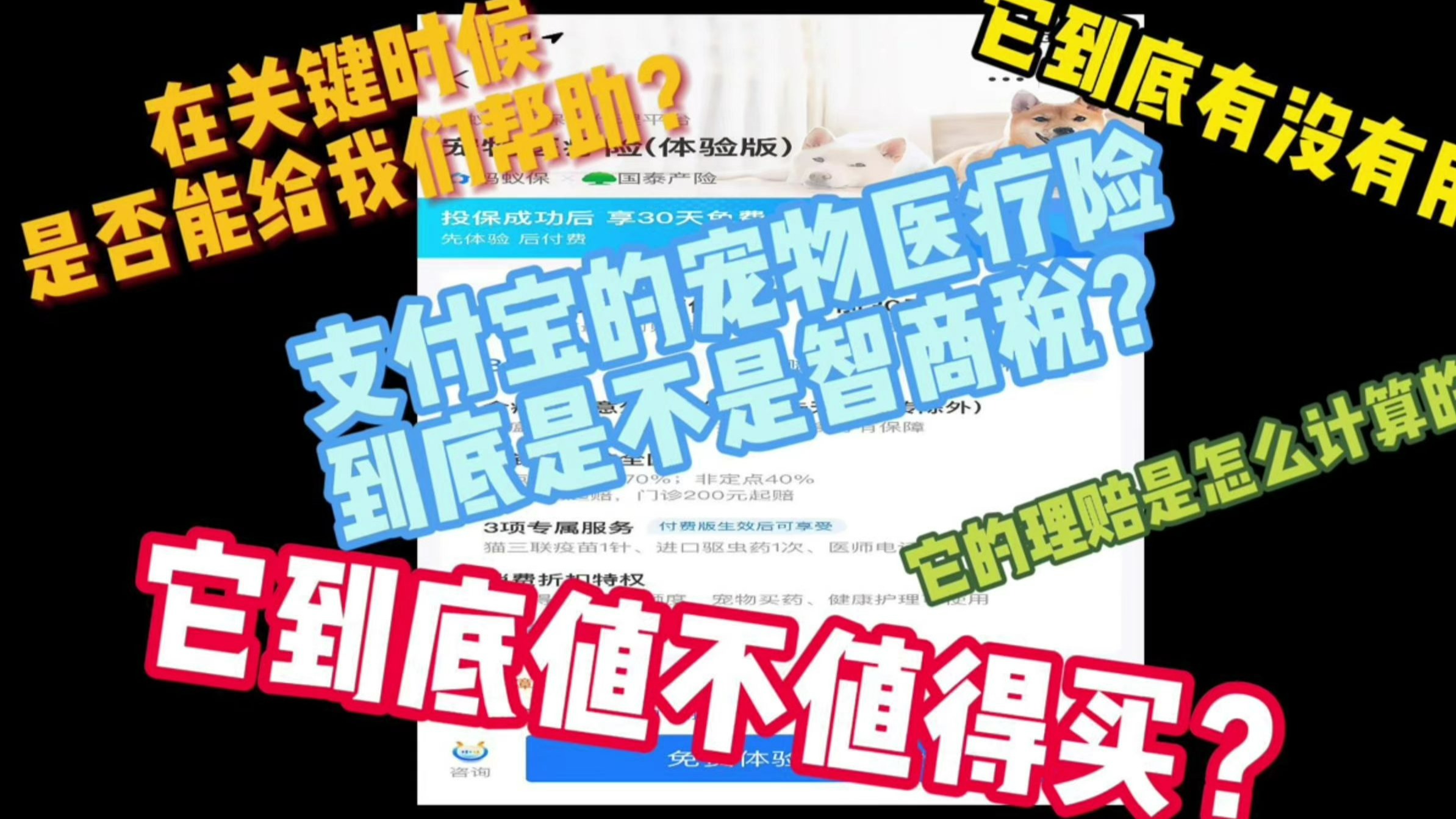 [Telling you from the perspective of ordinary people] Is Alipay pet medical insurance an IQ tax? Is it worth buying? Real reviews tell you!