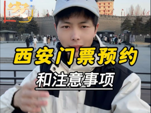 Many places in Xi'an require reservations. This video will teach you how to get around Xi'an #西安Travel Guide #大 Tang Sleepless City #Huashan Travel Guide #terracotta warriors and horses Travel Guide